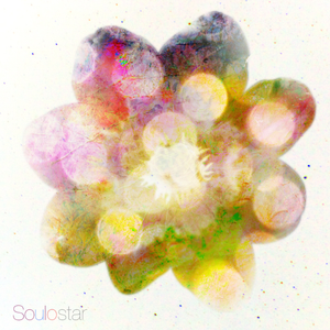 三十路美女少妇人体视频
